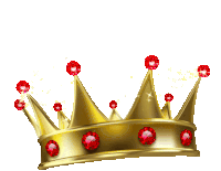 Premium Supporter Crown